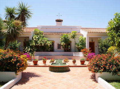 Andalusian patio in the sun