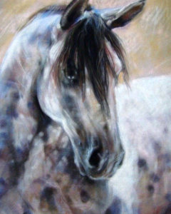 painting a portrait of a beautiful horse by Tonja Sell
