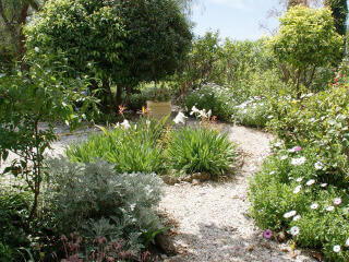 photo of garden with hidden corners