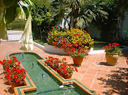 Andalusian patio in the sun