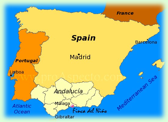 Map of Spain with special details on Andalusia and Malaga