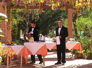 Wedding ceremony under the sun of Spain in Andalusia on the Finca del Niño
